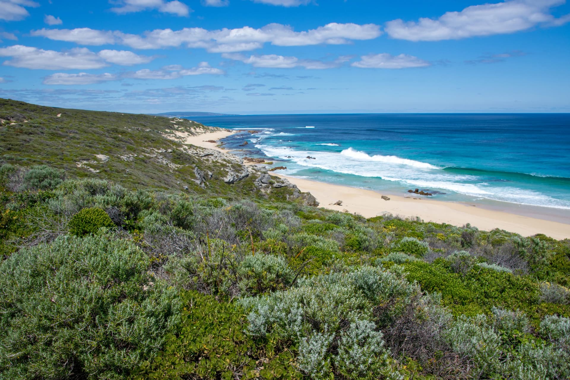The Indian Ocean from the Cape to Cape Track