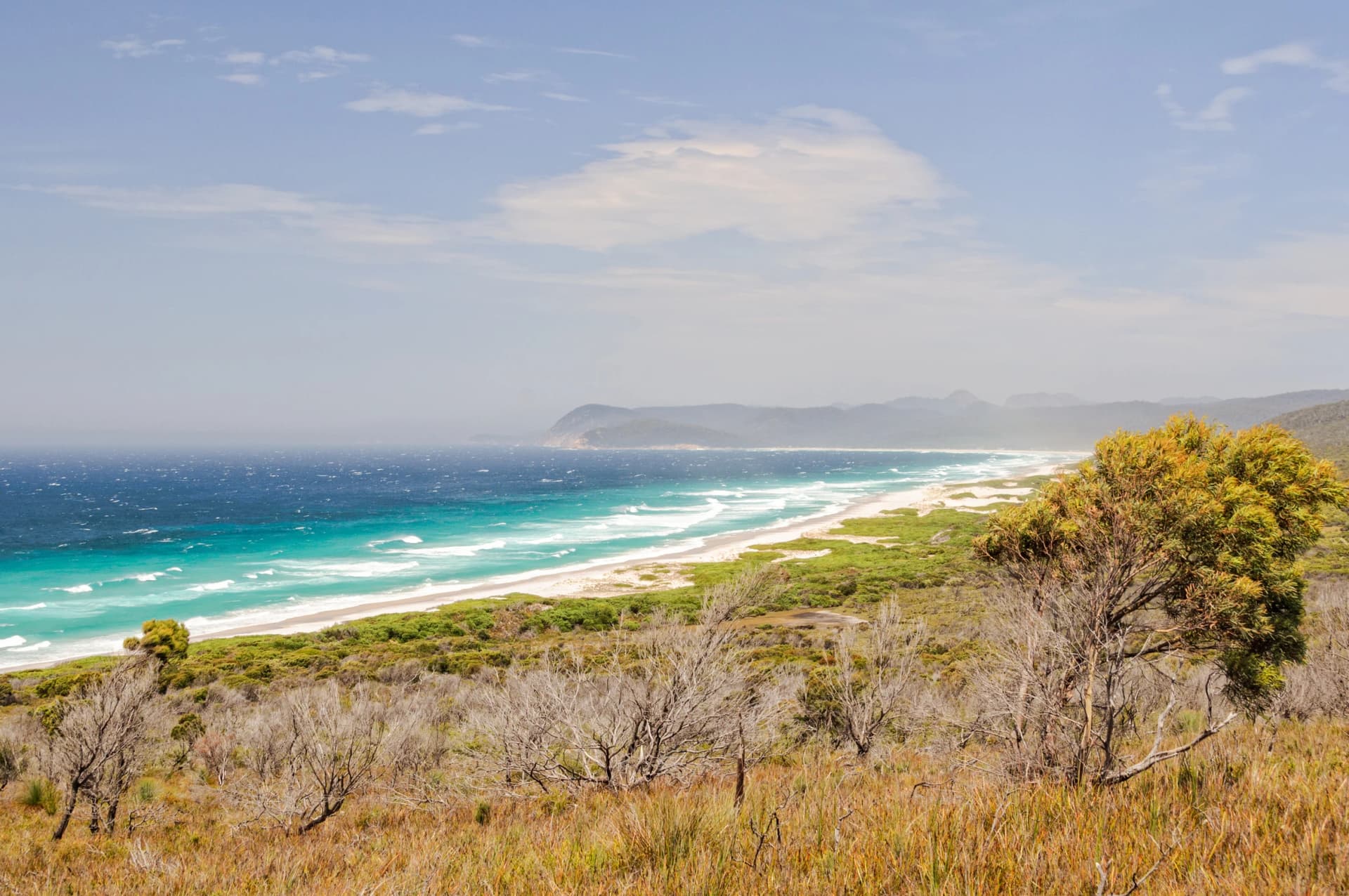 Friendly Beaches and coastal heath