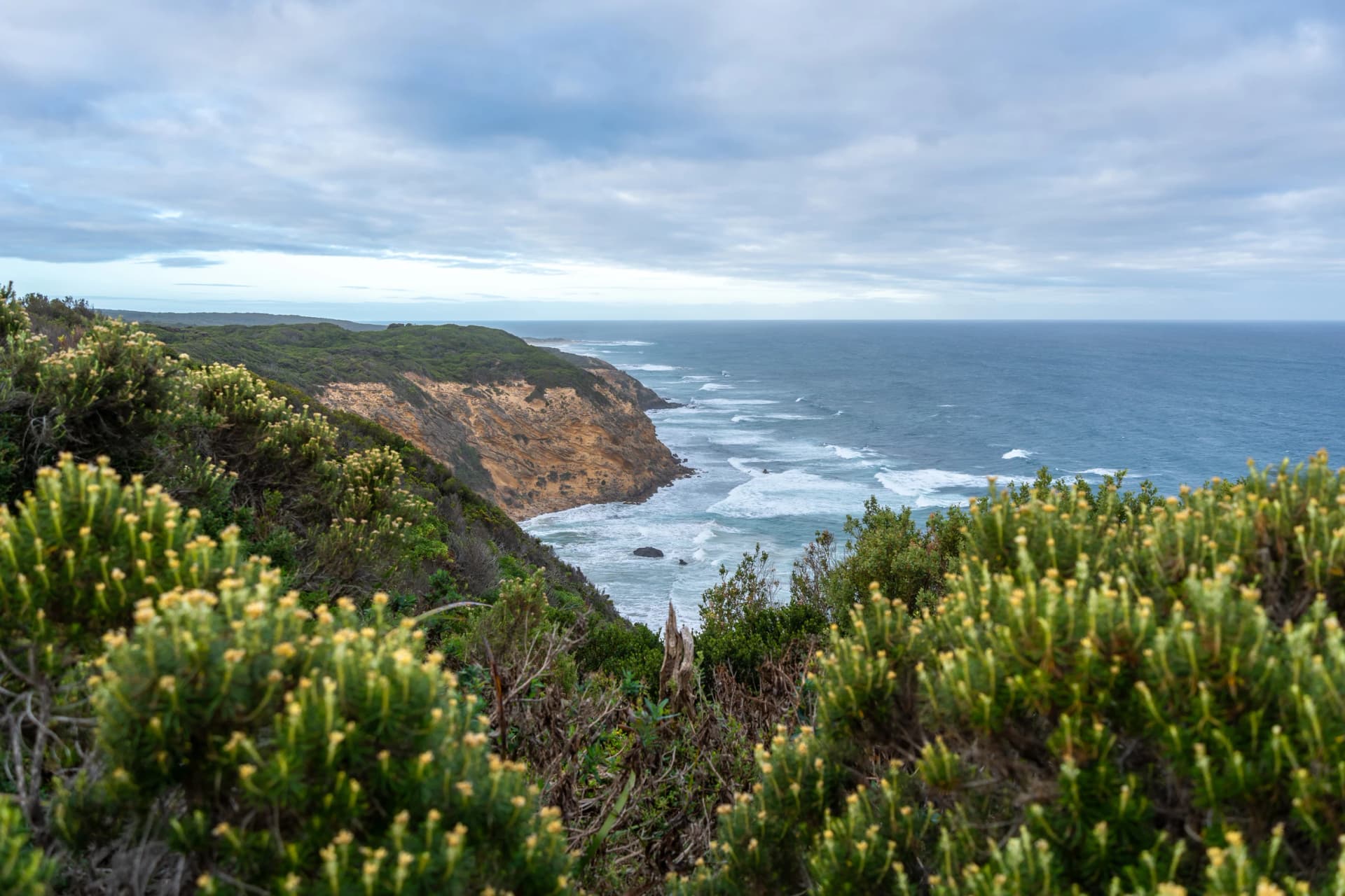 Coastal cliffs from Cape Otway Lightstation