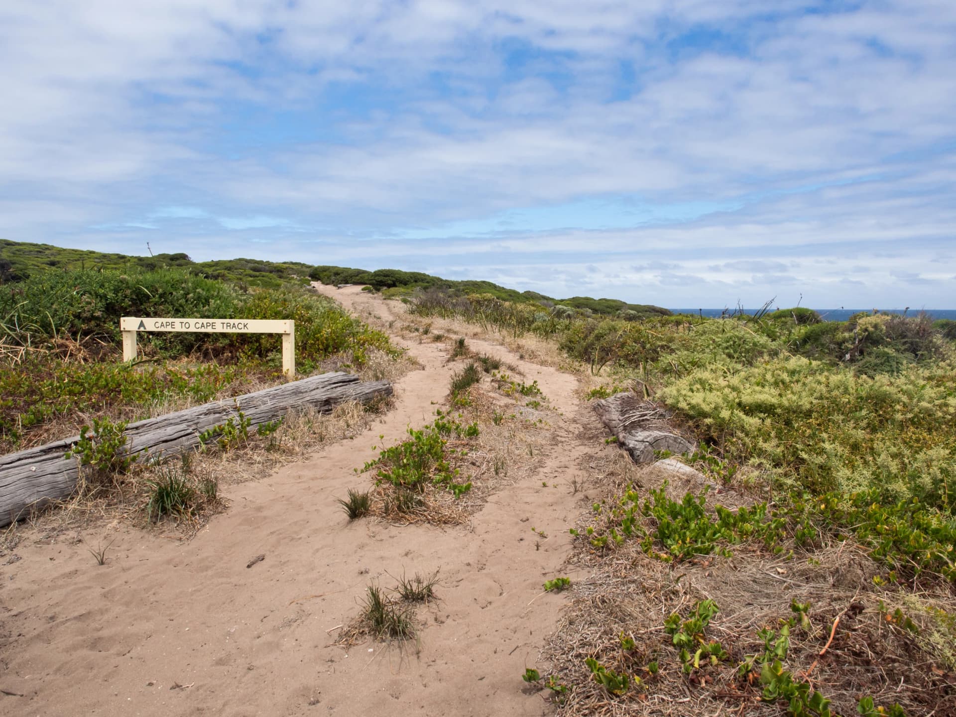 The Cape to Cape Track through coastal heath