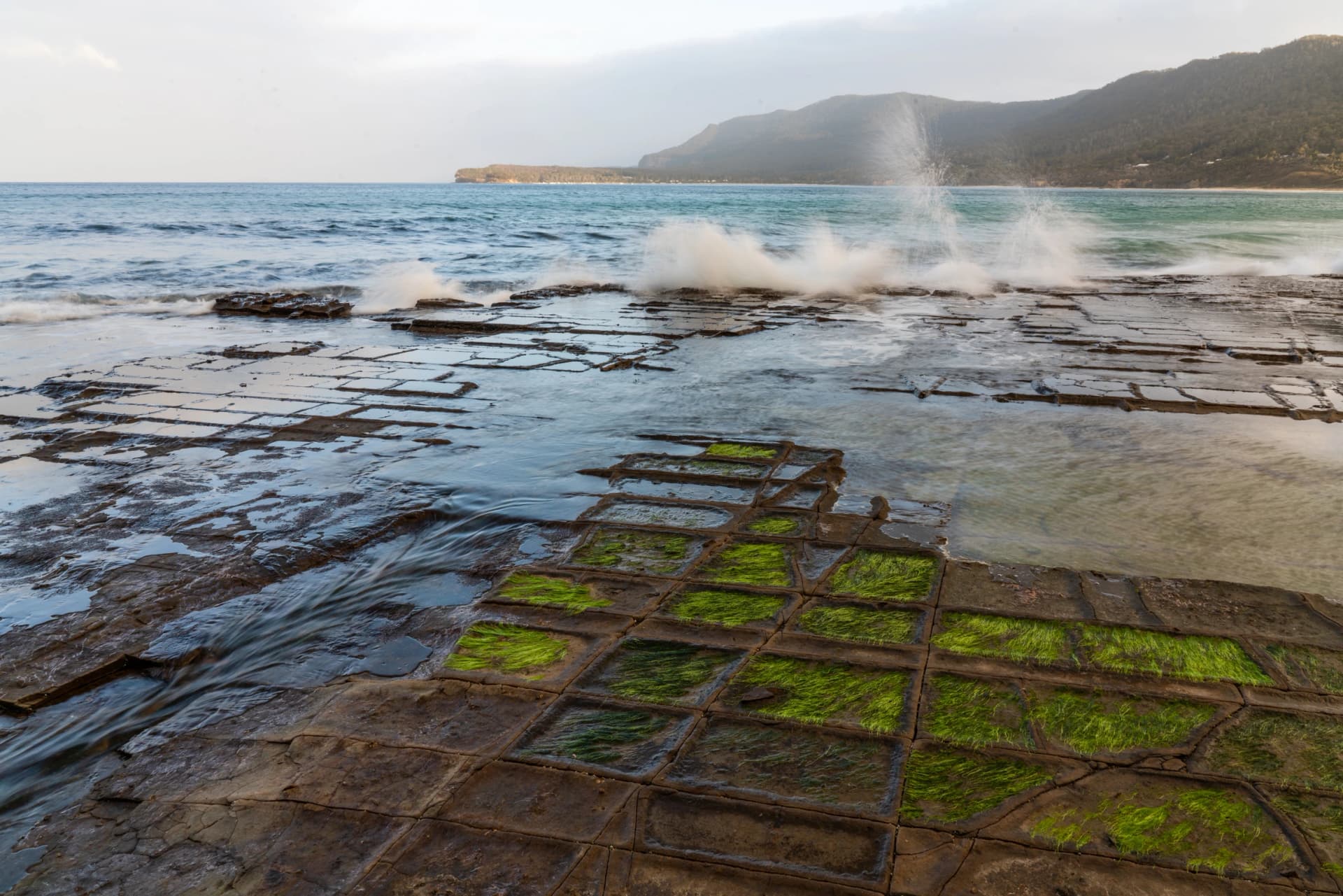 Tessellated Pavement at Eaglehawk Neck