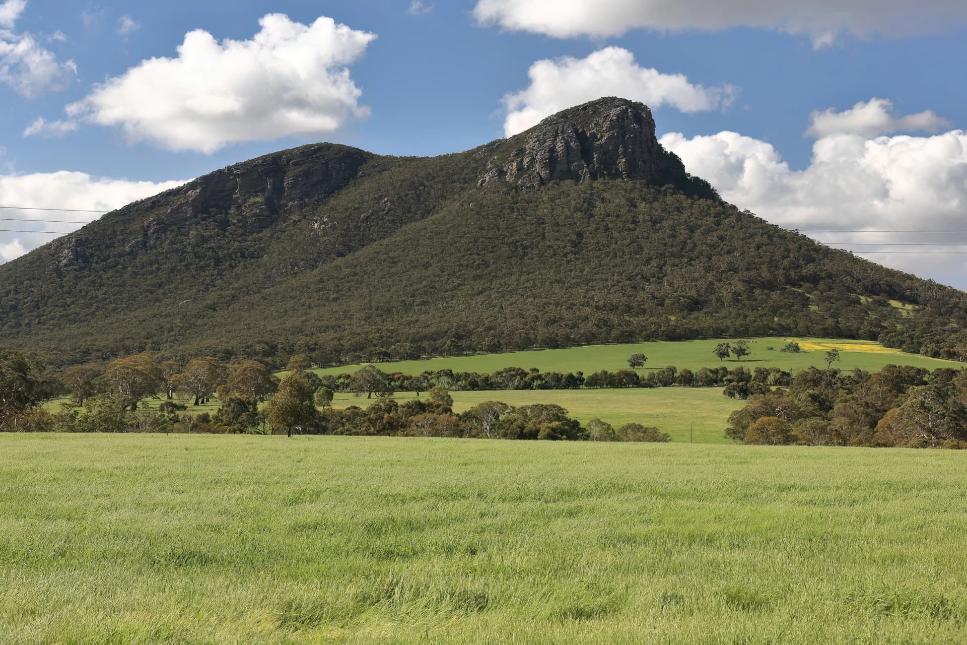 Mount Sturgeon, the southern end of the range