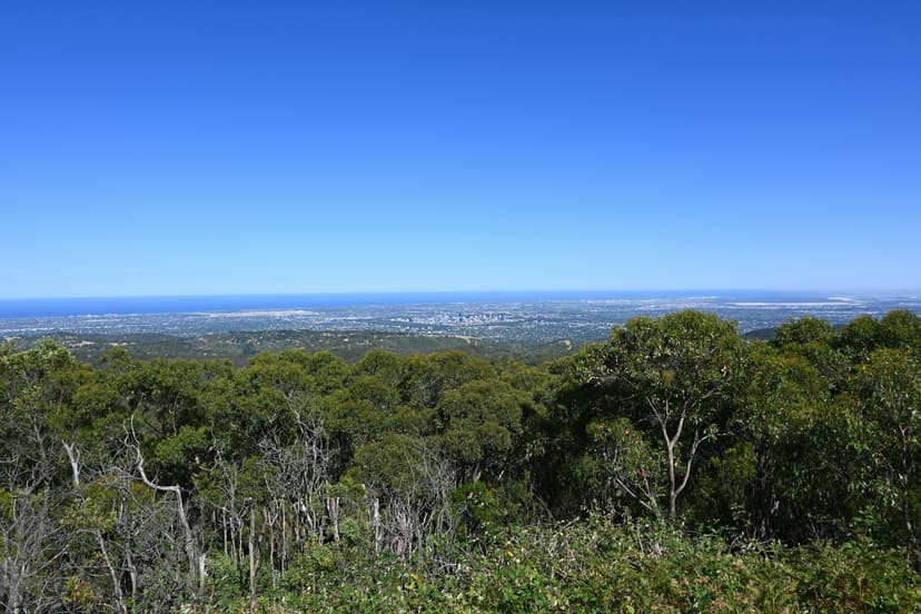 Look over Adelaide from the Mount Lofty summit