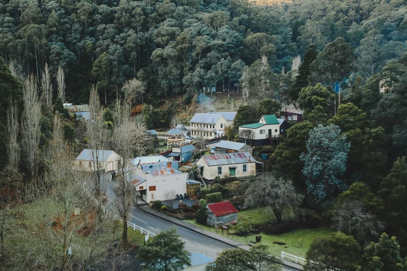 Walhalla's houses in the forested valley
