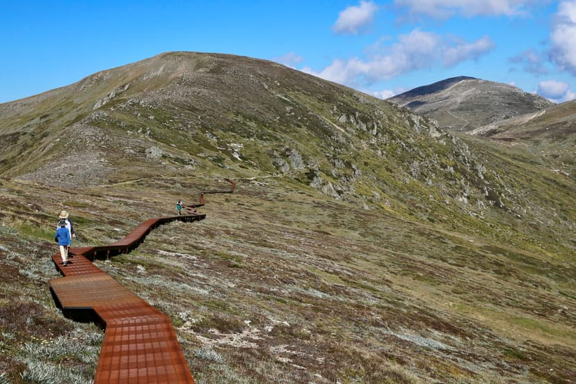 Walk the raised path in Kosciuszko National Park