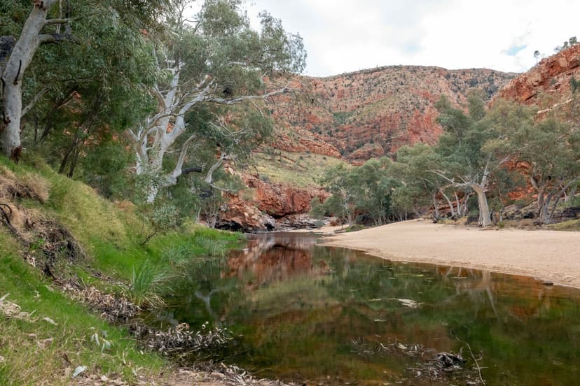 The waterhole in Ormiston Gorge