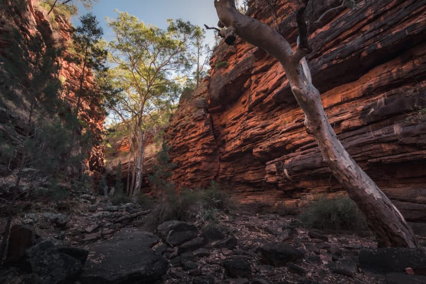 Alligator Gorge in Mount Remarkable National Park