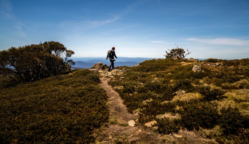 Hike up Mount Bogong