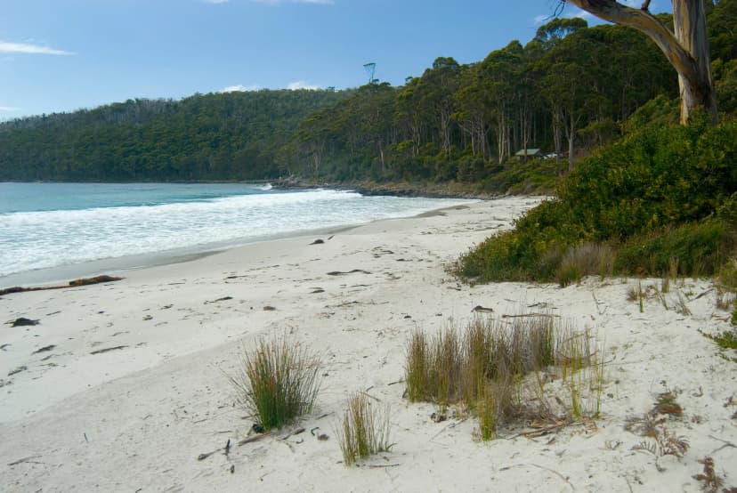 The beach at Fortescue Bay