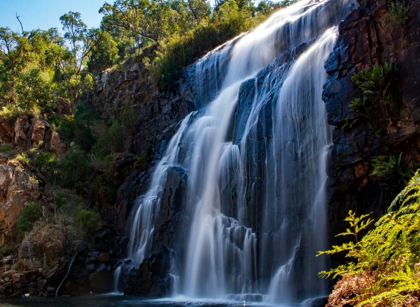 Mackenzie Falls cascading over dark rock cliffs in the Grampians with surrounding trees and foliage