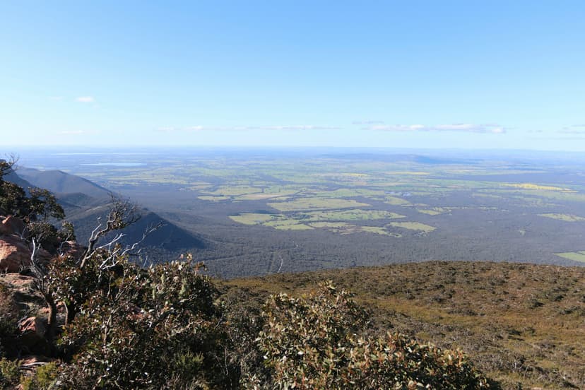 Farmland viewed from Mount Abrupt with flat green fields, forests, and blue sky