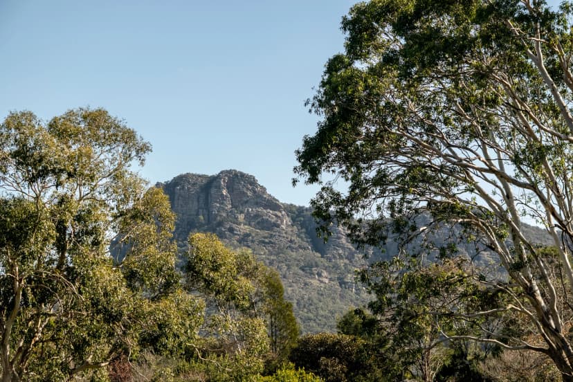 Look up at the cliffs of Mount Sturgeon above Dunkeld