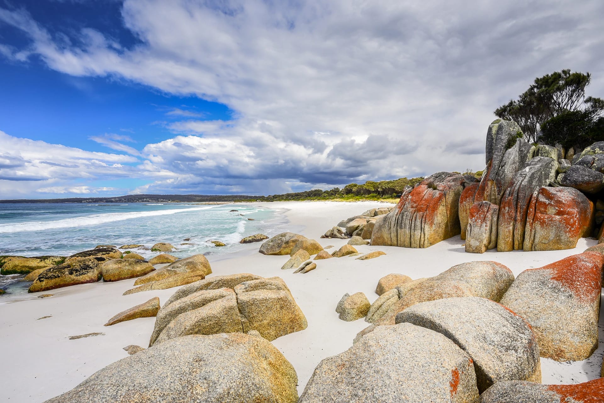 Orange lichen boulders at Cosy Corner, Bay of Fires