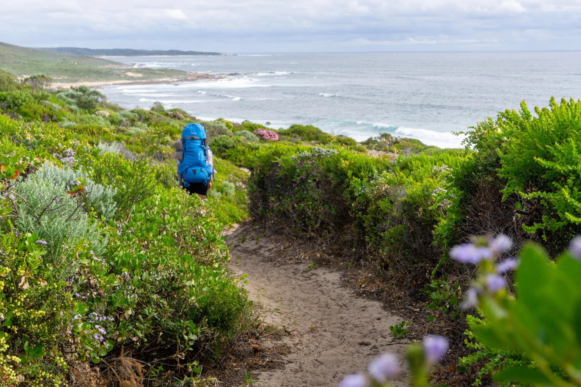 A hiker on the Cape to Cape Track above the sea