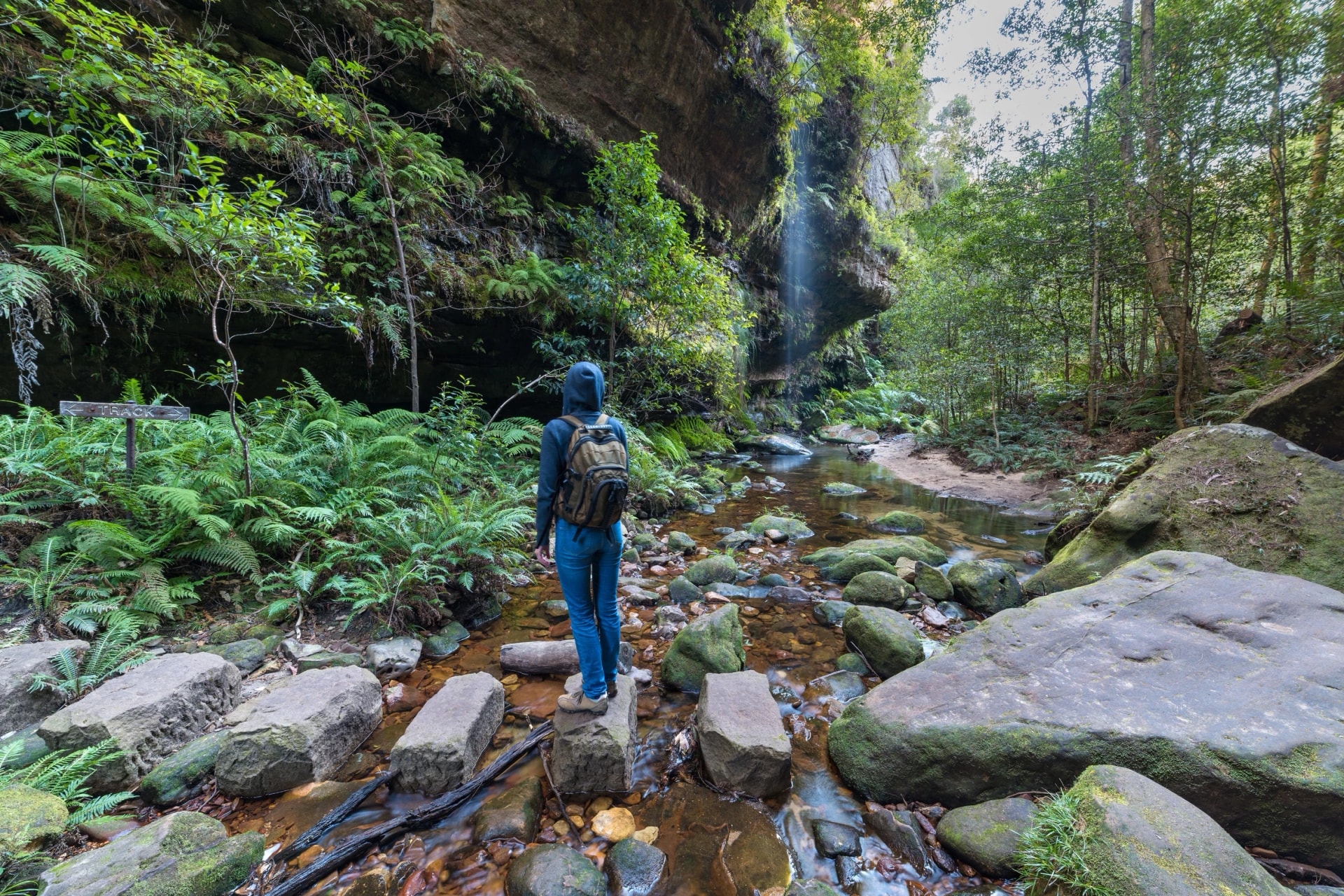 Blue Mountains Self-Guided Walk