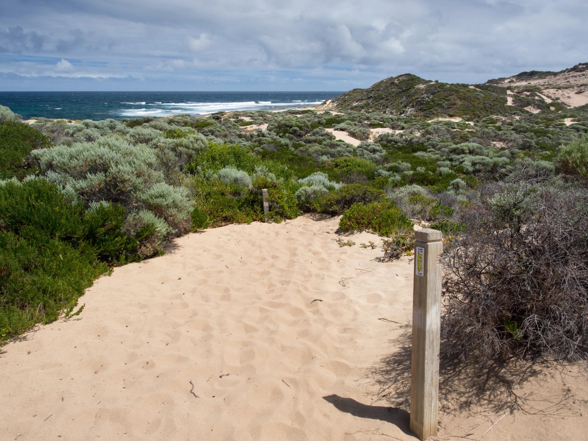 Sandy track through the coastal heath