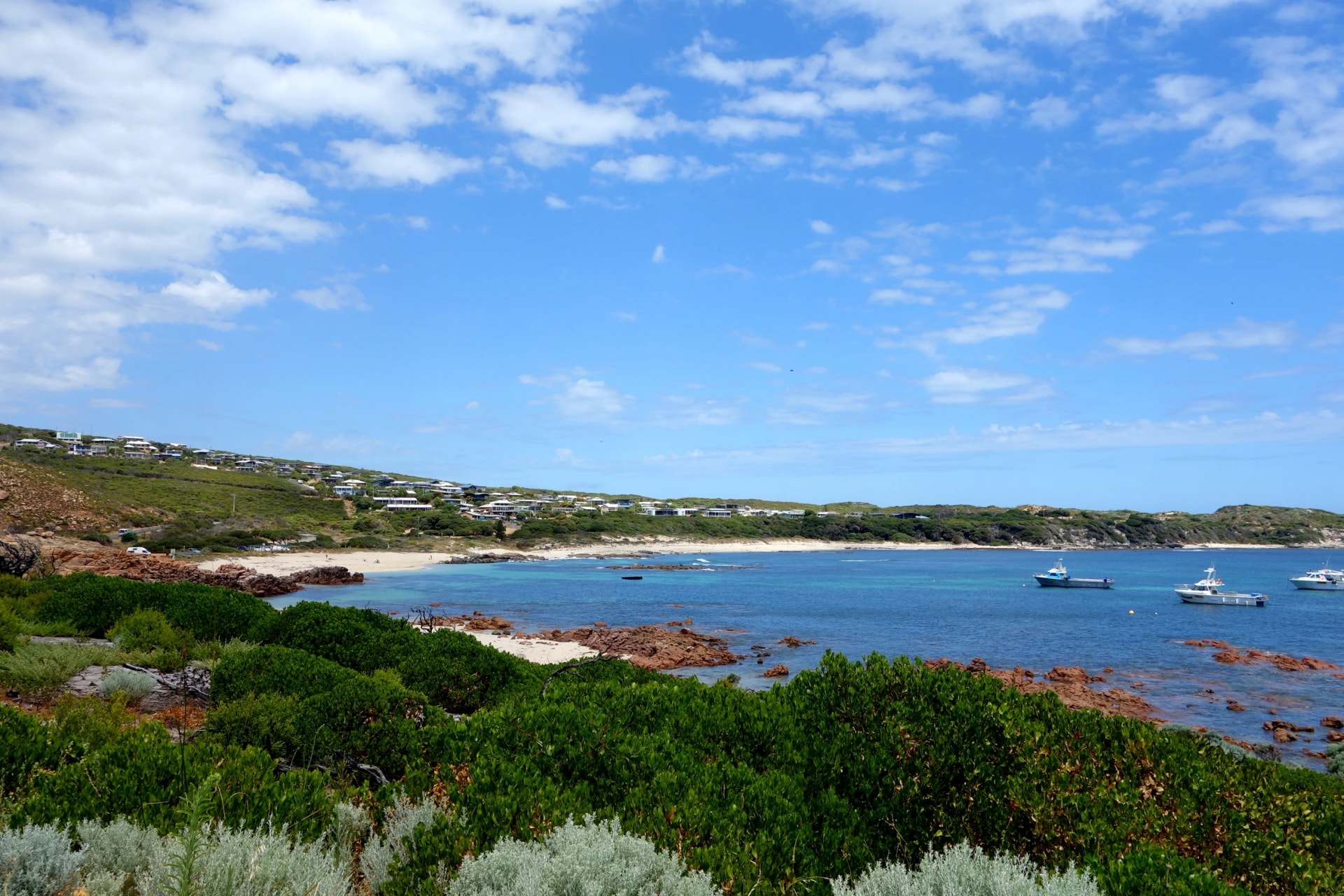 Coastal heath above Gracetown Bay