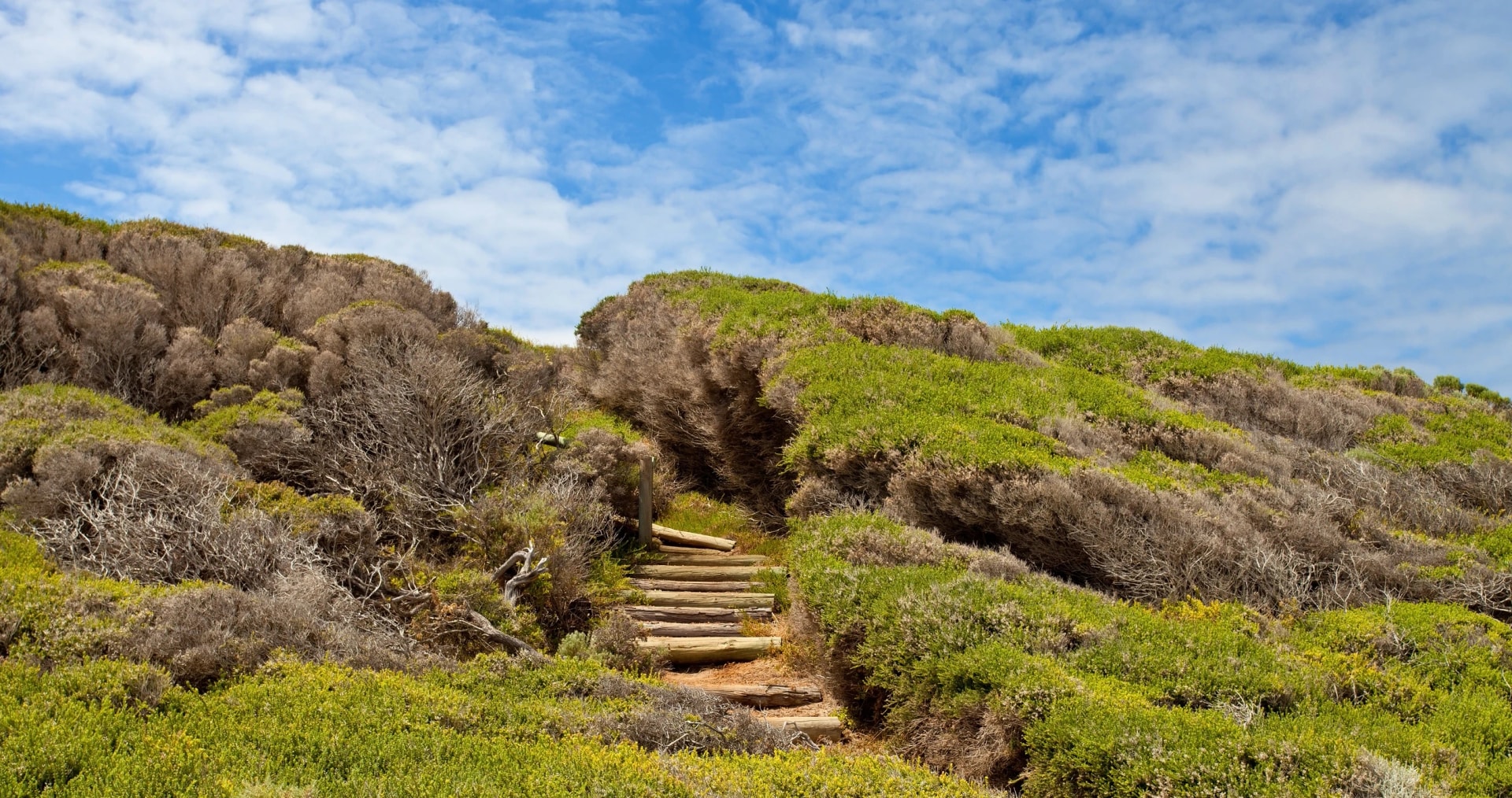 Steps through the heath at Redgate