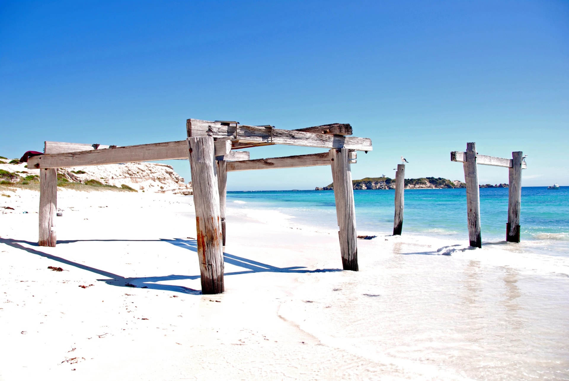 Old jetty posts on Hamelin Bay beach