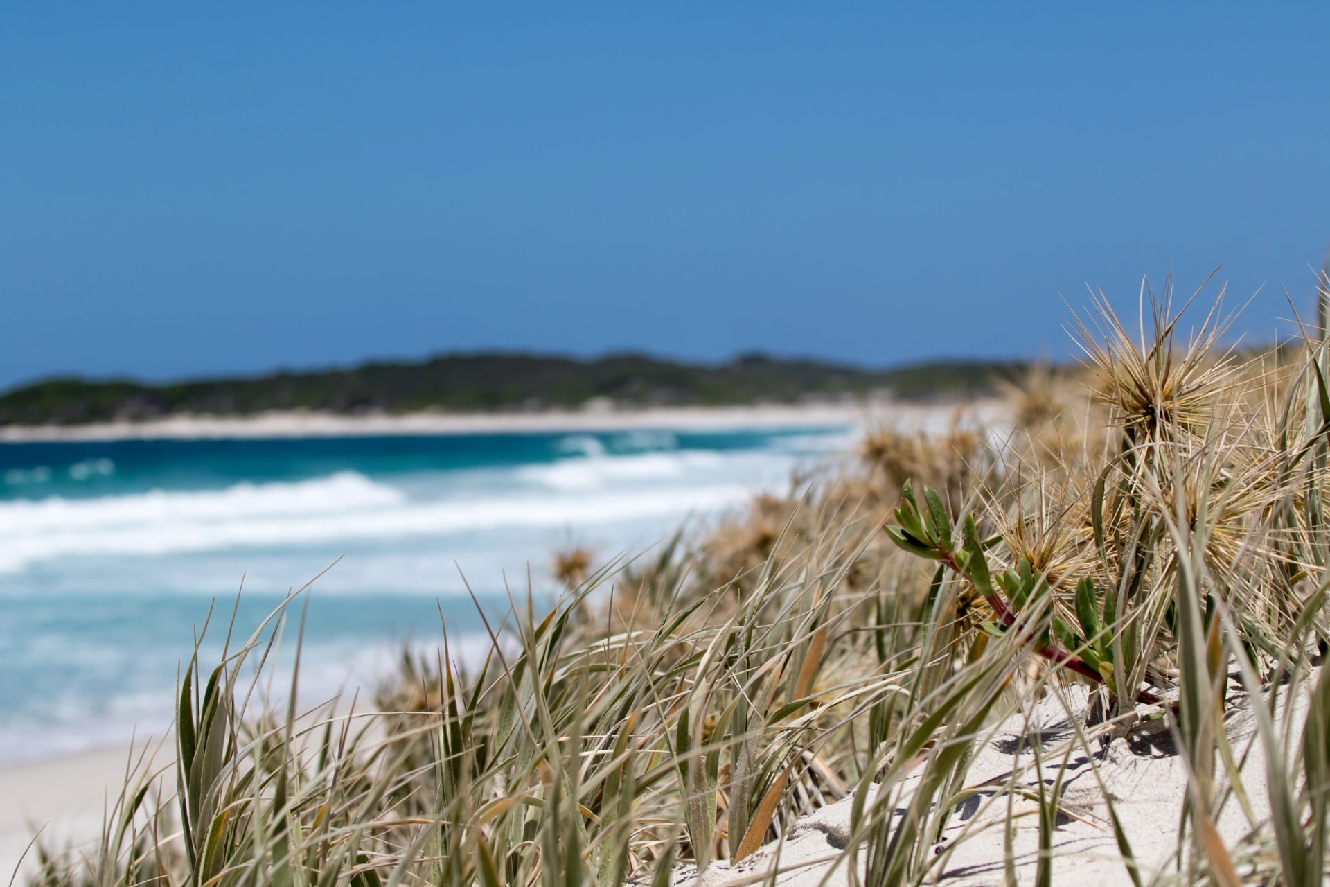 Skippy Rock beach