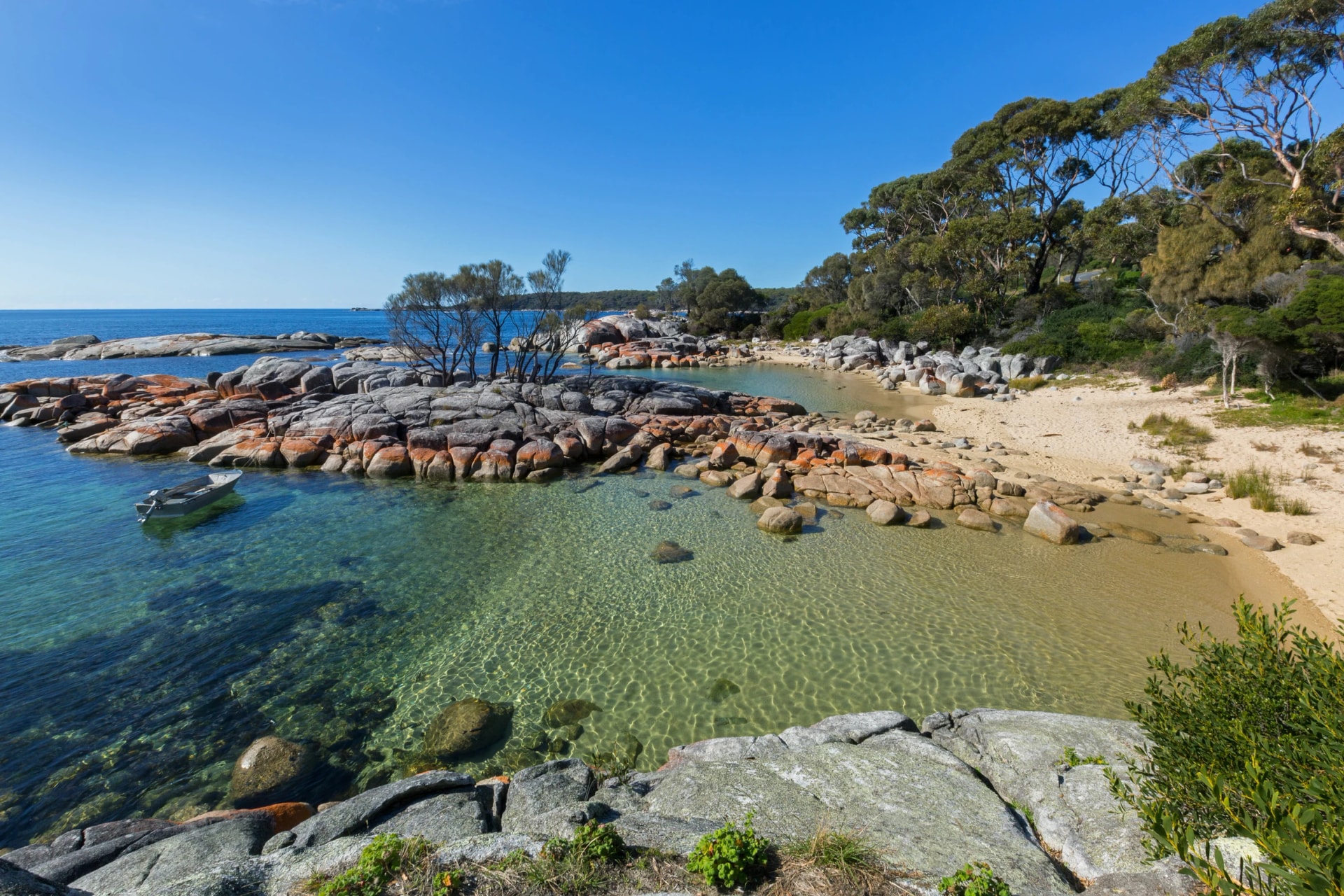 Lichen-covered rocks at Skeleton Bay