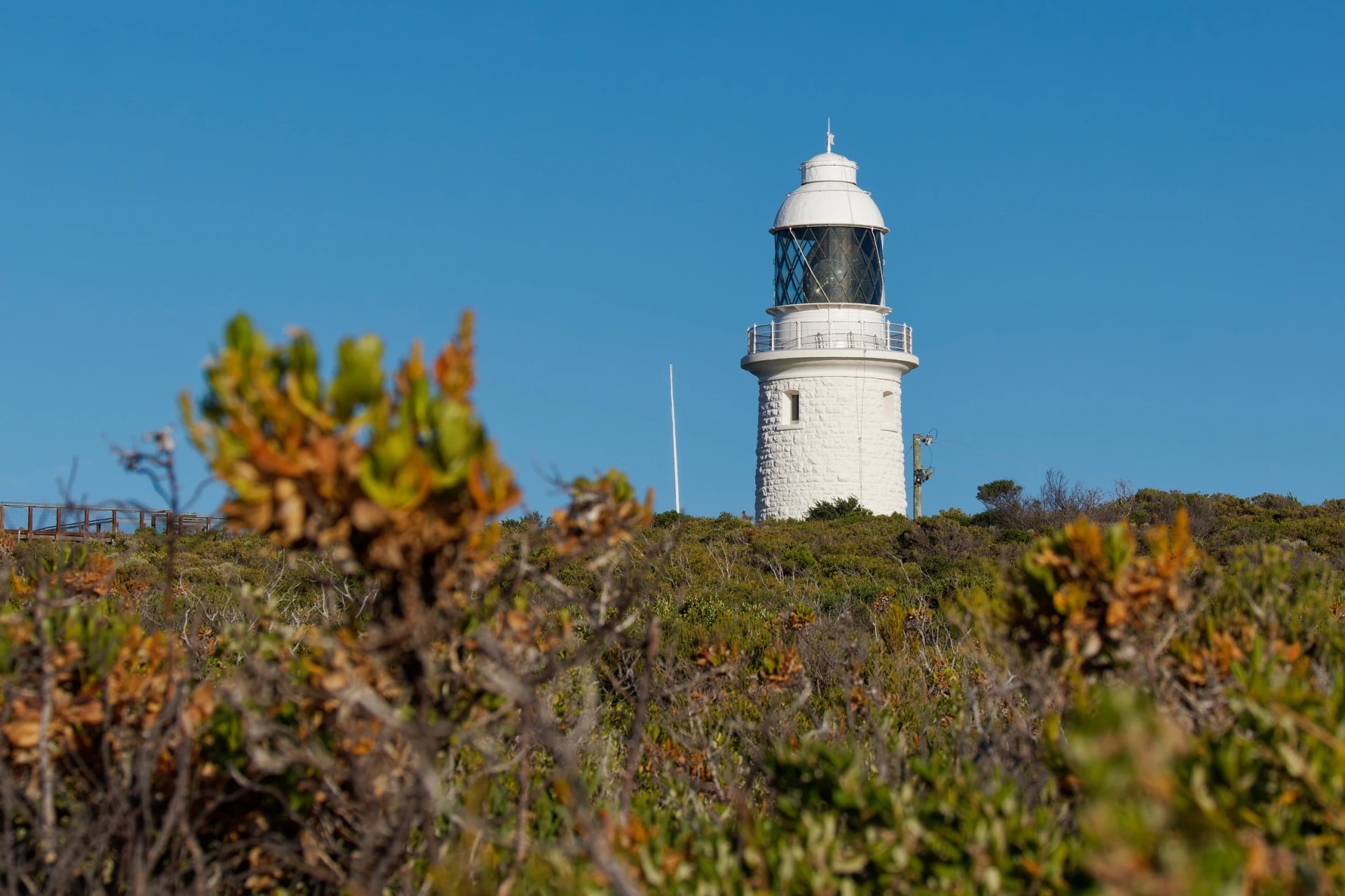 Cape Naturaliste Lighthouse above the heath