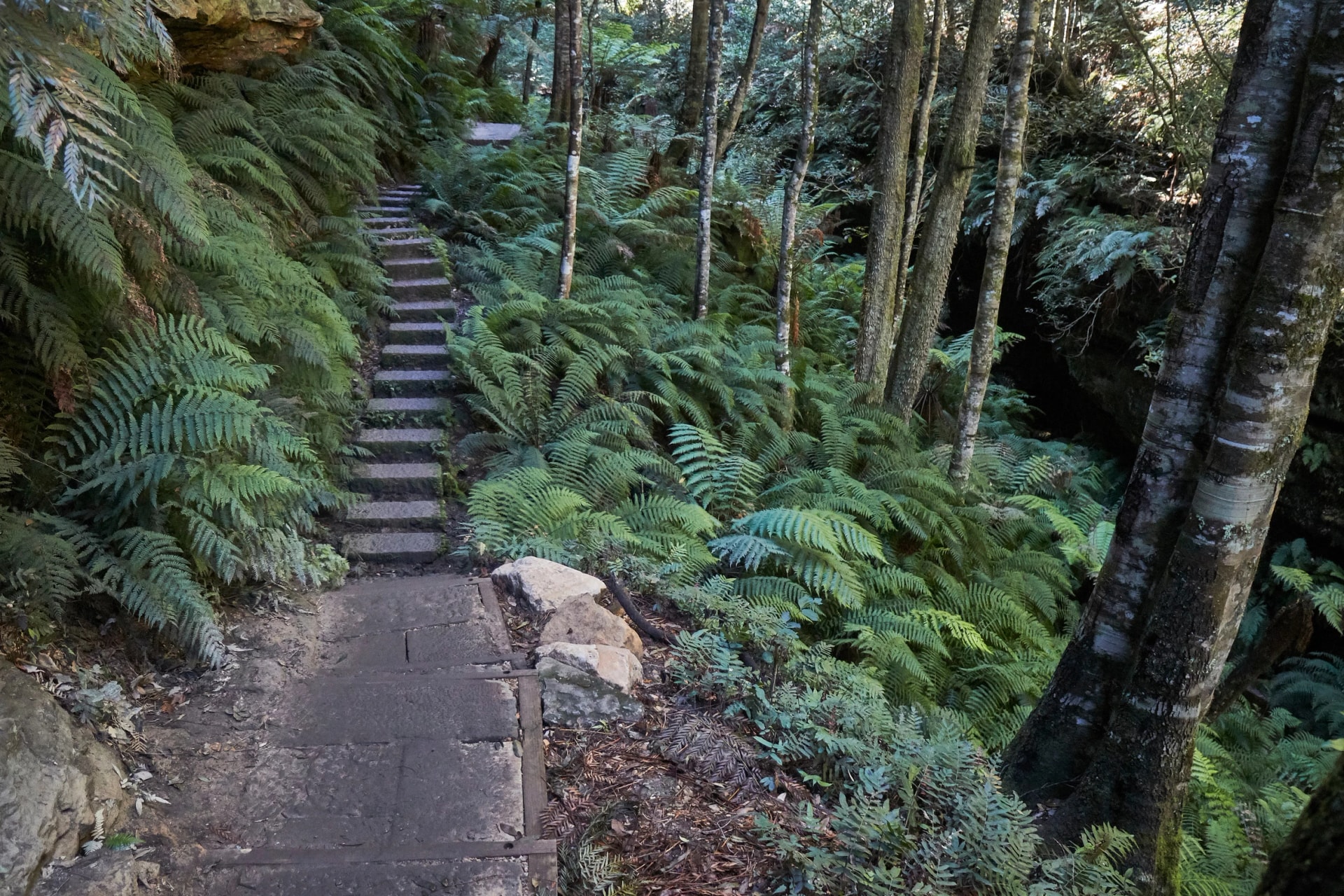 Stone steps into the Grand Canyon