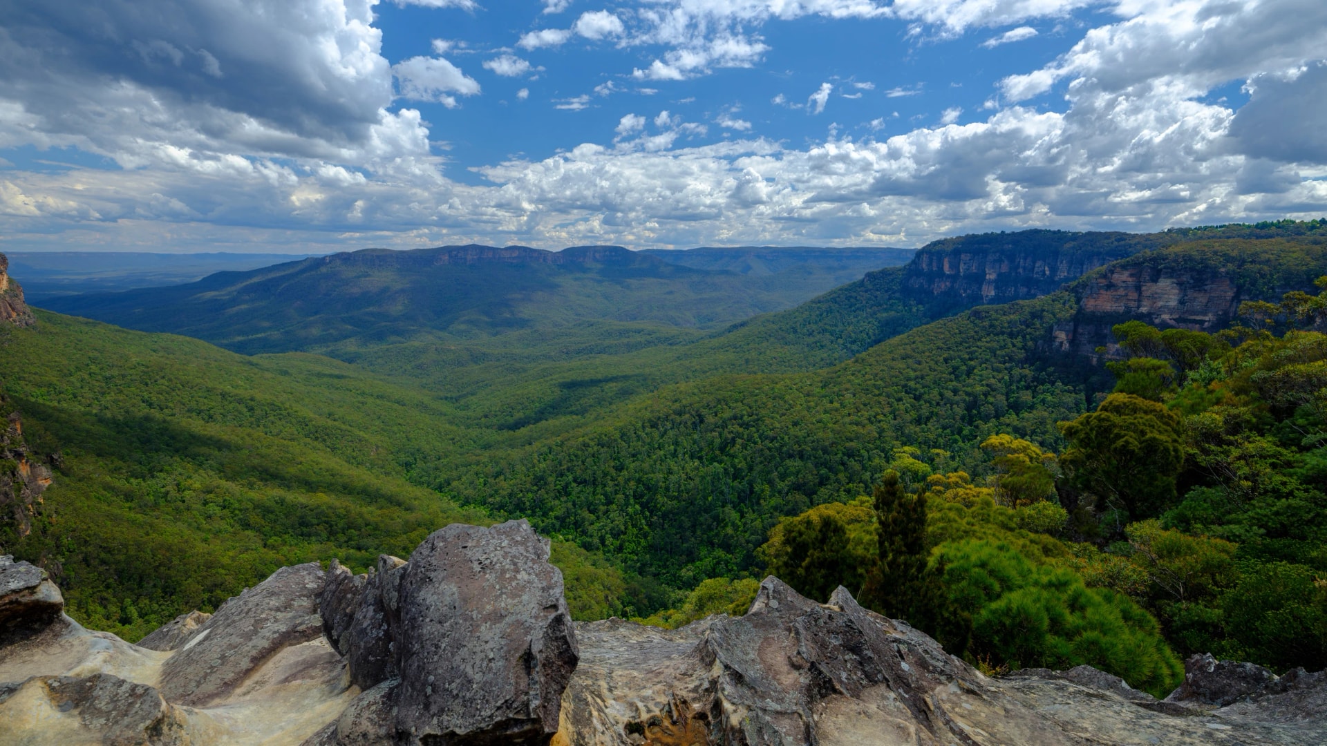 Jamison Valley from above Wentworth Falls