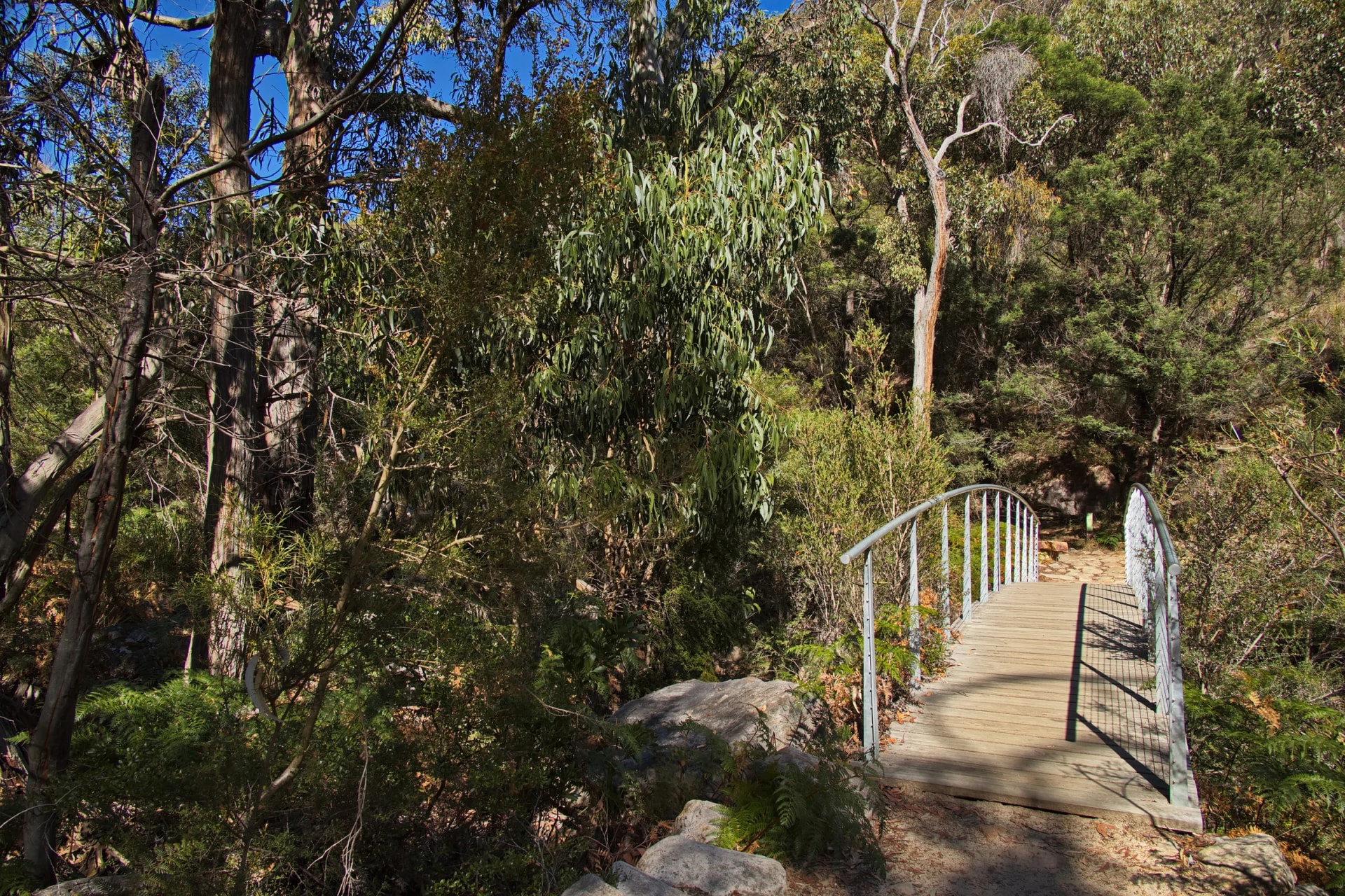 Footbridge on the track to Venus Baths
