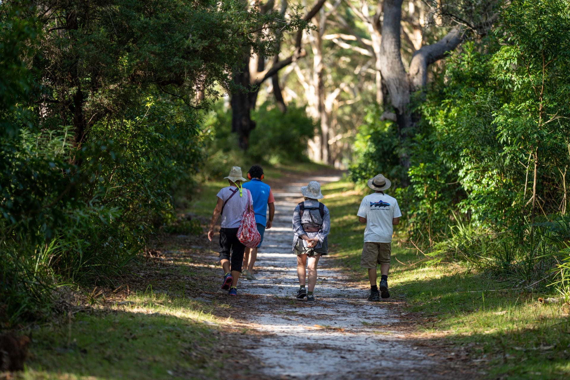Walk a shady forest track with the whole family