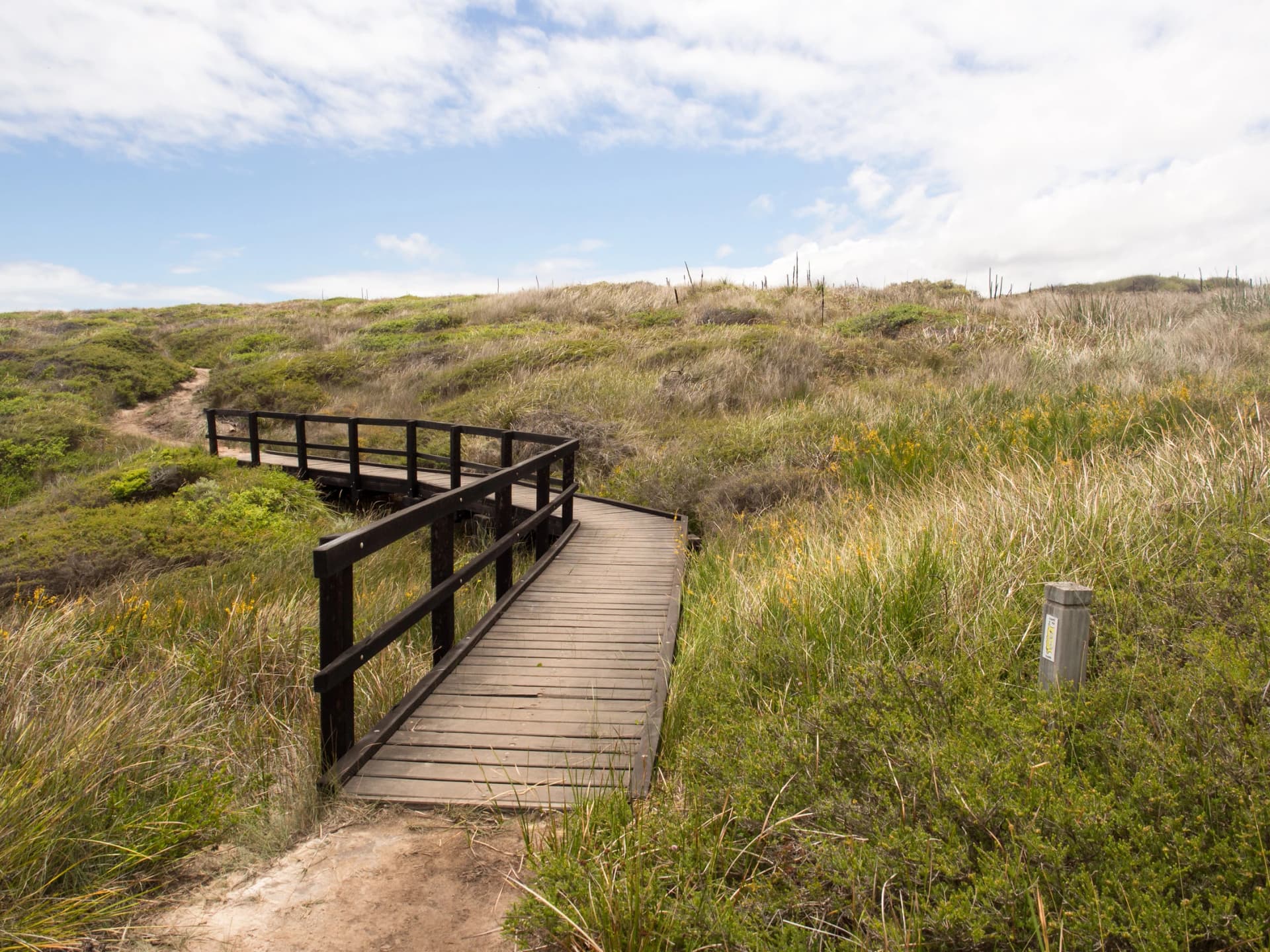 Boardwalk through the dune grass on the Cape to Cape Track