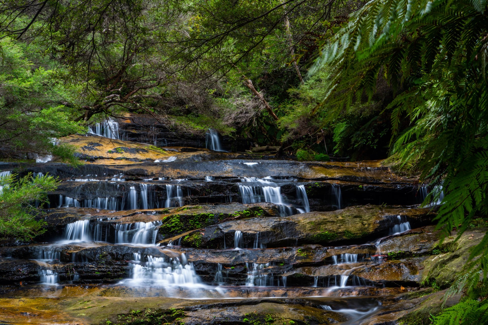 Follow the Leura Cascades down through the tree ferns