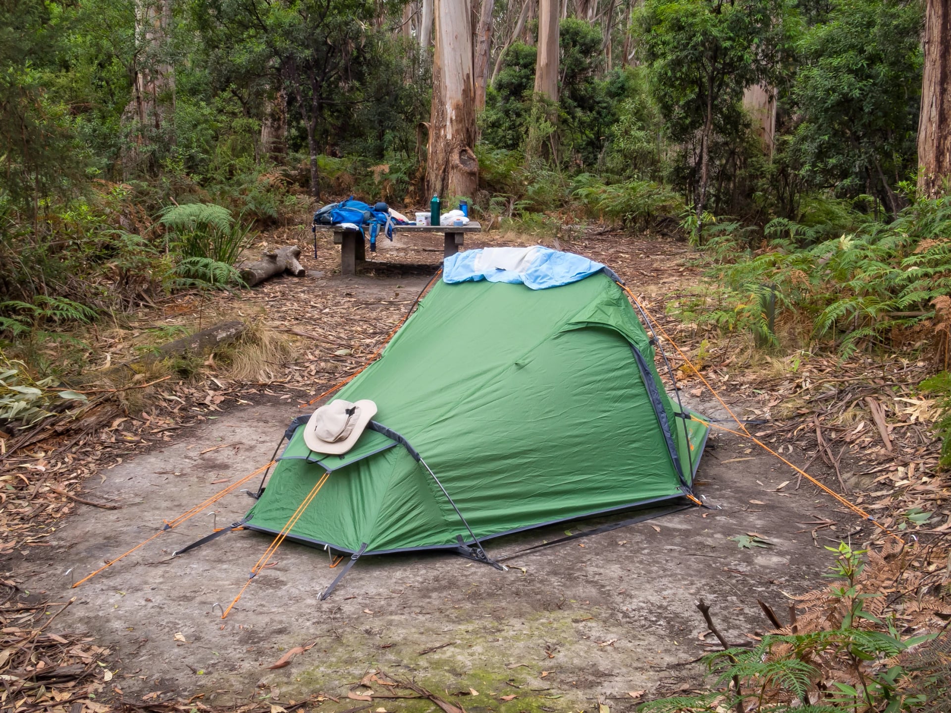 Pitch your tent at the Elliot Ridge campsite